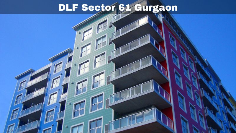 Avatar: DLF Sector 61 Gurgaon
