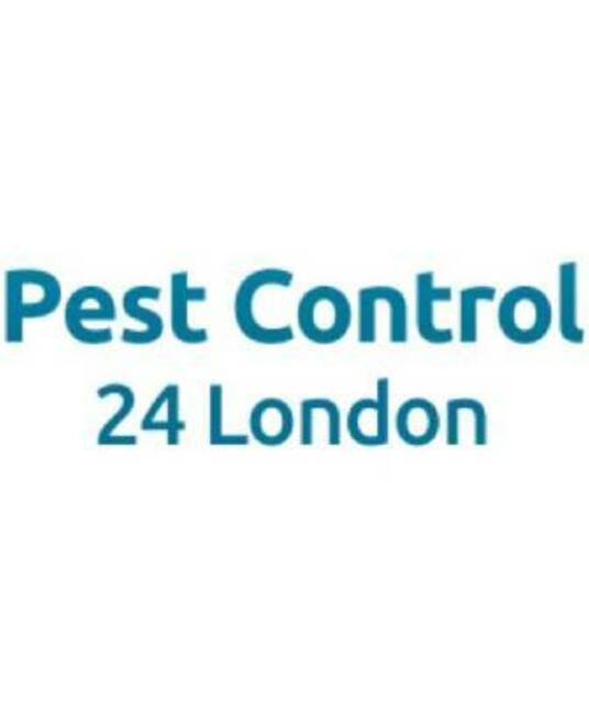 avatar Pest Control 24 London